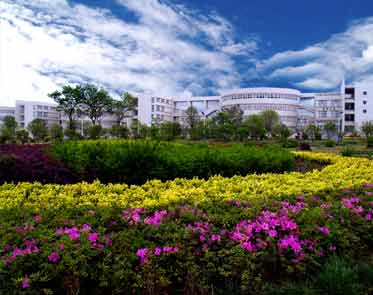 曲靖师范学院风景四